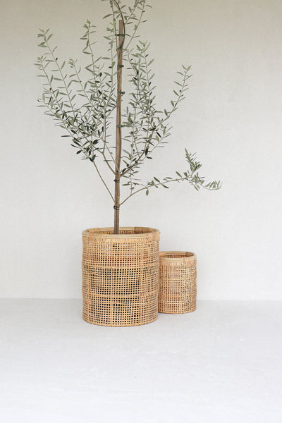 Daydream - Planter + Basket