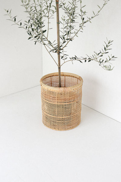 Daydream - Planter + Basket